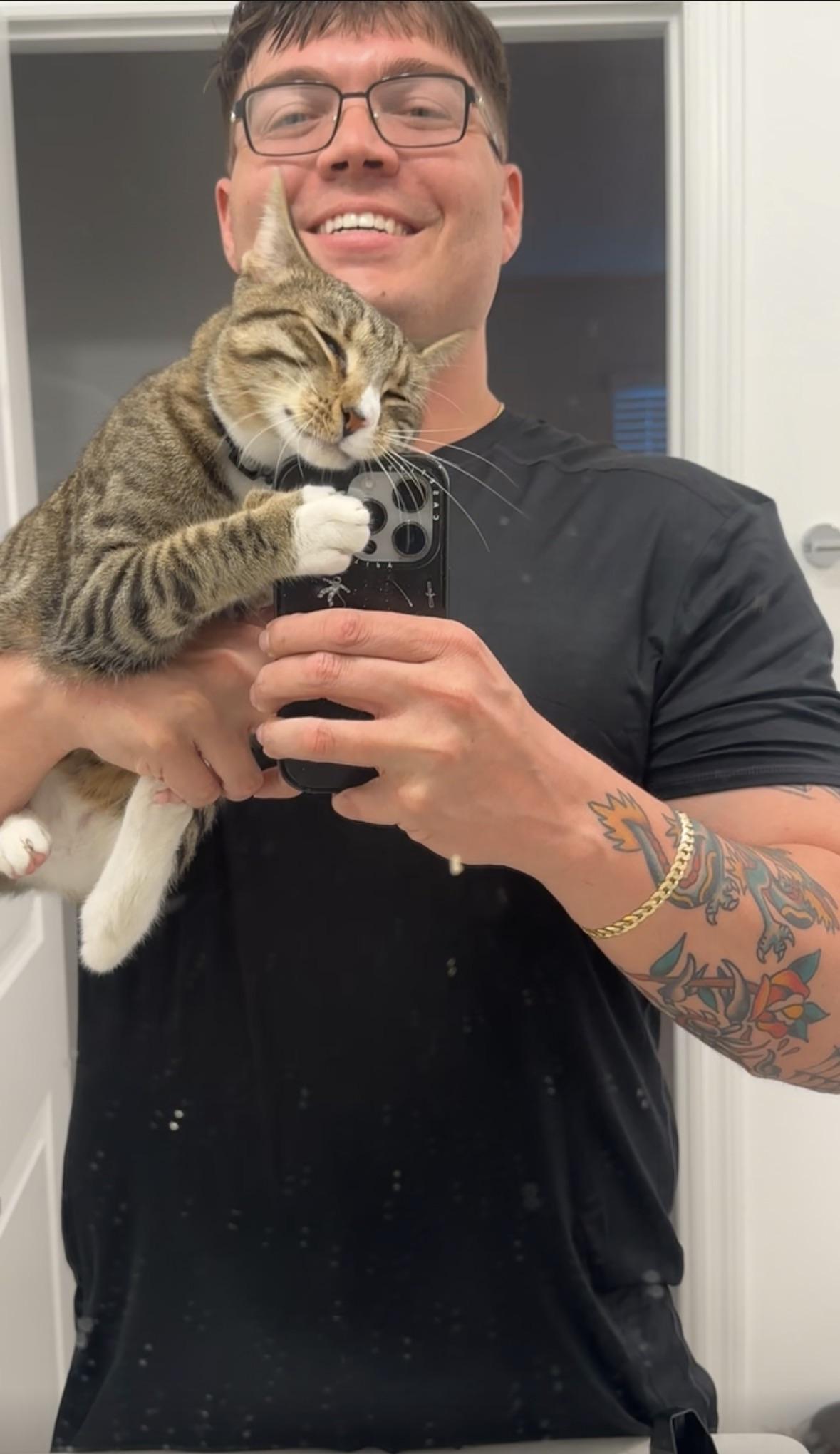 Cat meme