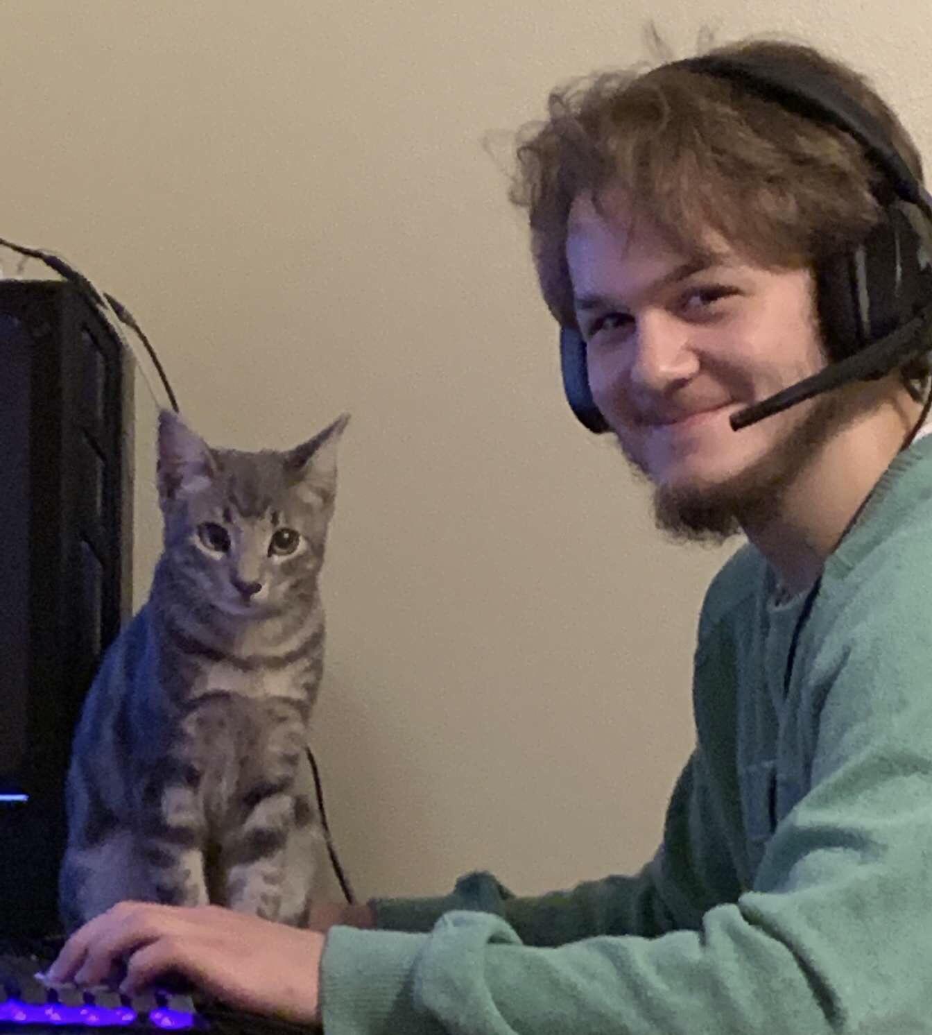 Cat meme