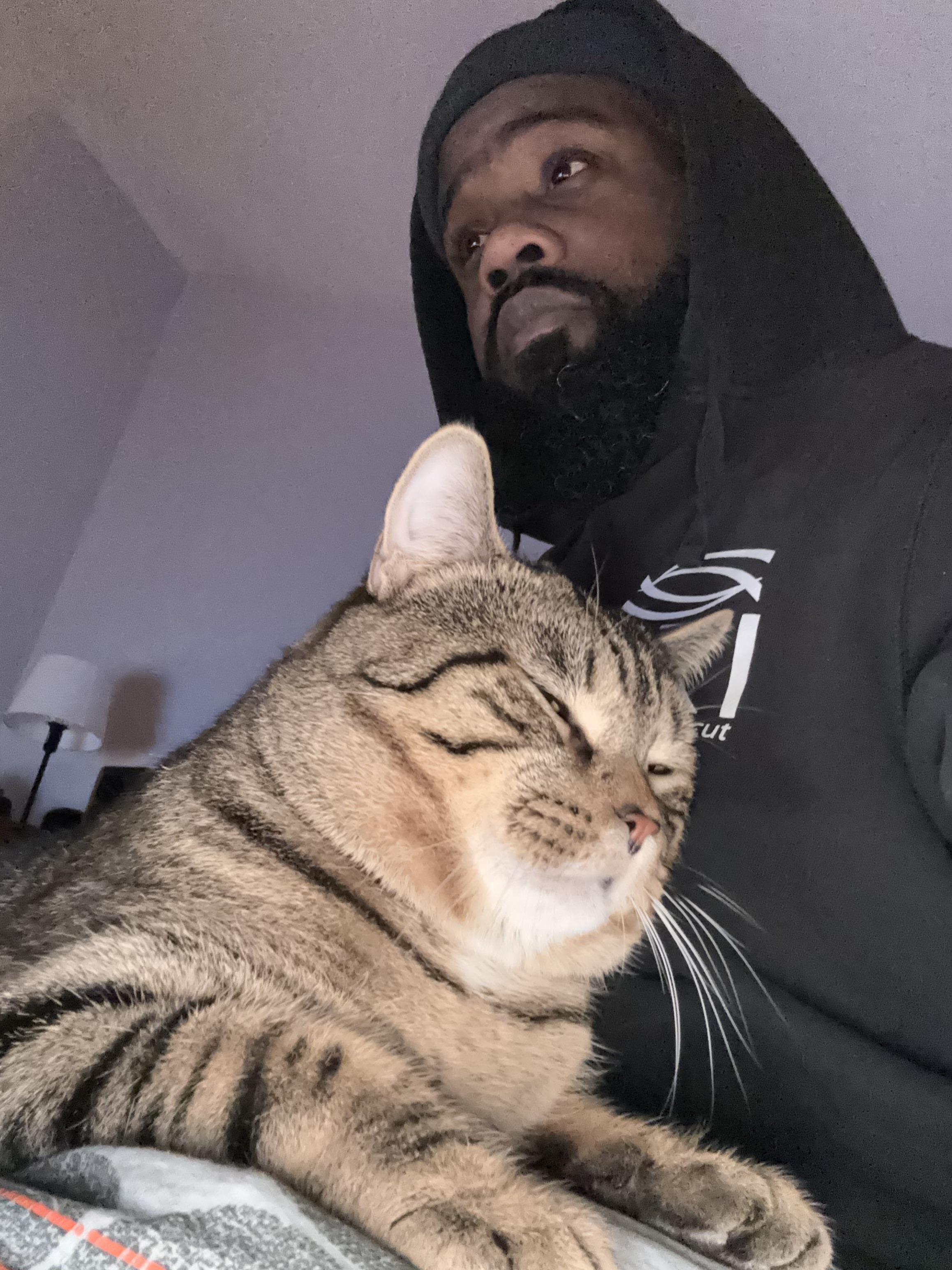 Cat meme